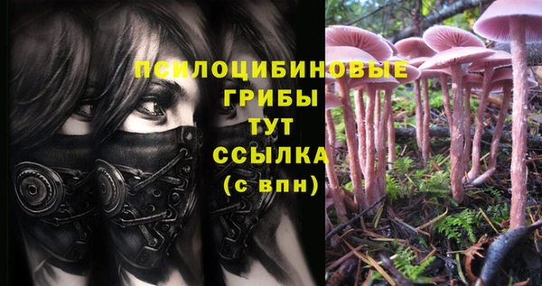 ECSTASY Магас