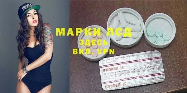 ECSTASY Магас
