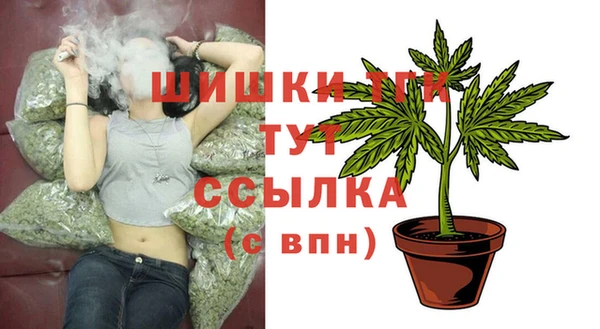 гидра Майский