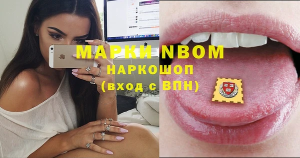 гидра Майский
