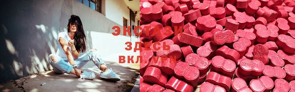 ECSTASY Магас