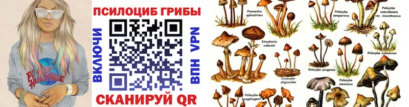 даркнет сайт  Ивангород  Галлюциногенные грибы прущие грибы 